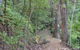 Turmeric Gardens - thumb 5