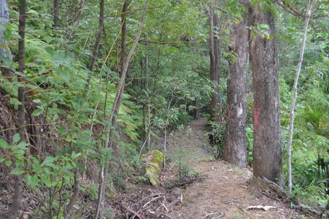 Turmeric Gardens - Accommodation Perth 5
