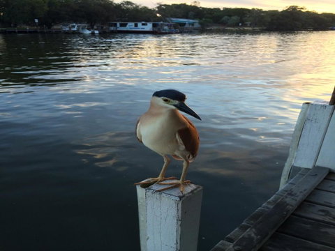 Mandurah Riverfront Holiday Rental - Accommodation Perth 1