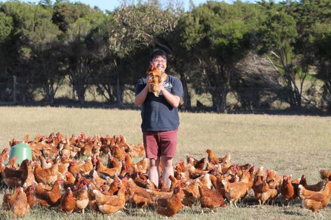 Bimbadeen Phillip Island Farm Retreats - Accommodation Perth 4