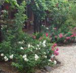 Maldons Eaglehawk Motel - Accommodation Perth