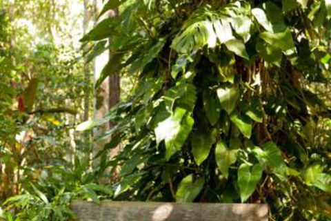 Taman Sari Private Pavilions - Accommodation Perth 4