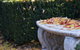 Lynrose Place - thumb 5