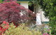Lynrose Place - thumb 6