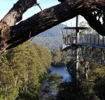 Tahune Air Walk Lodge - Accommodation Perth
