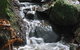 Rocky Creek Art Garden B&B - thumb 4