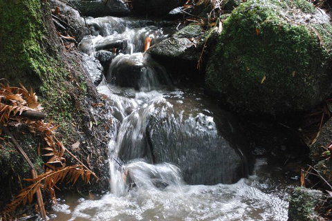 Rocky Creek Art Garden B&B - Accommodation Perth 4