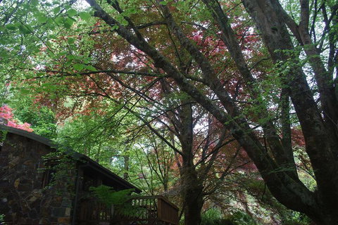 Rocky Creek Art Garden B&B - Accommodation Perth 2