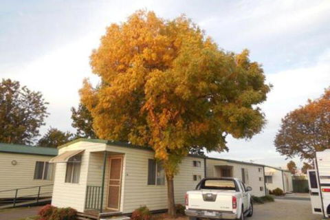 Wodonga Caravan & Cabin Park - Accommodation Perth 0