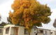 Wodonga Caravan & Cabin Park - thumb 1