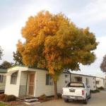 Wodonga Caravan & Cabin Park - Accommodation Perth 1