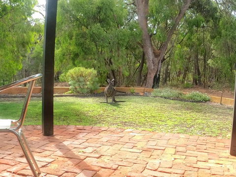 Yallingup Pet Friendly Bush Retreat - Accommodation Perth 5
