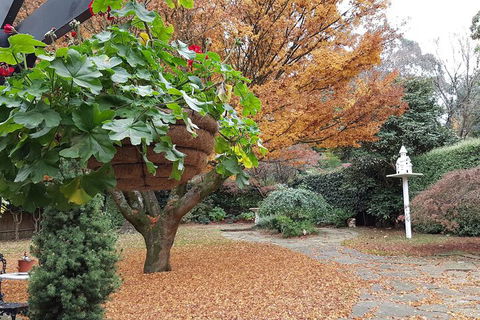 Villa DAmour - Perth Resorts 2