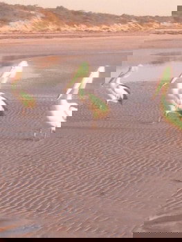 Perlubie Sea - Perth Resorts 6