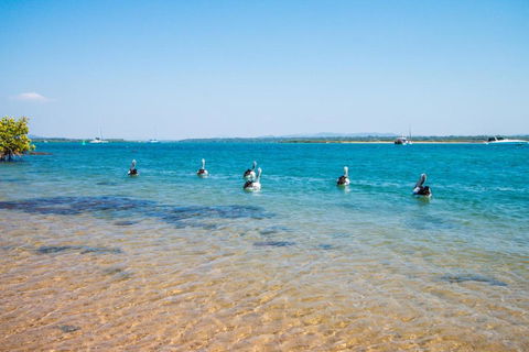 The Gallery - Perth Resorts 4