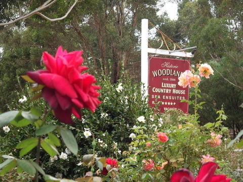 Woodlands Of Bridgetown B & B - Accommodation Perth 5
