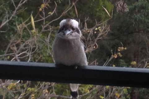Maleny Country Cottages - Accommodation Perth 6