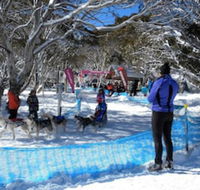 Cloud 9 Alpine Lodge - Accommodation Perth