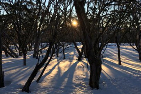 Cloud 9 Alpine Lodge - Accommodation Perth 1