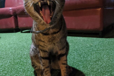 Jump Inn Alice Budget Accommodation - Perth Resorts 1