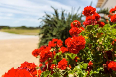 Cottages For Couples - Accommodation Perth 2