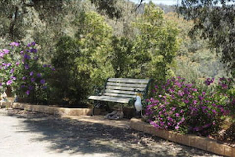 Wild Cherry Bed & Breakfast - Perth Resorts 3