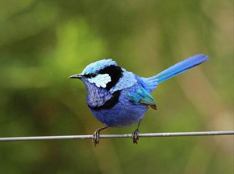 Dingup House - Accommodation Perth 6