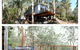 The Tree House - thumb 1