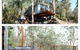 The Tree House - thumb 0