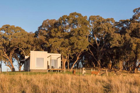 Dragonfly Cottages - Accommodation Perth 5