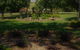 Manderley Park Farmstay B & B - thumb 6