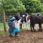Manderley Park Farmstay B & B - Perth Resorts 0