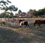 Heartland Hideaway - Accommodation Perth
