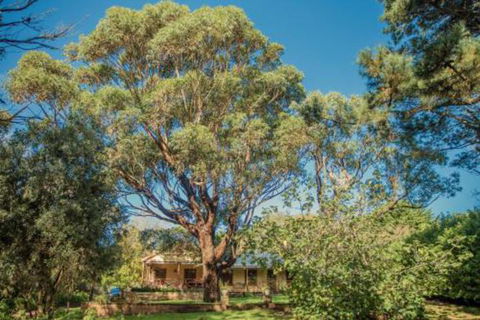 Secluded Homestead Amongst The Trees - Accommodation Perth 3