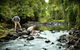 Sharlynn By The River - thumb 0