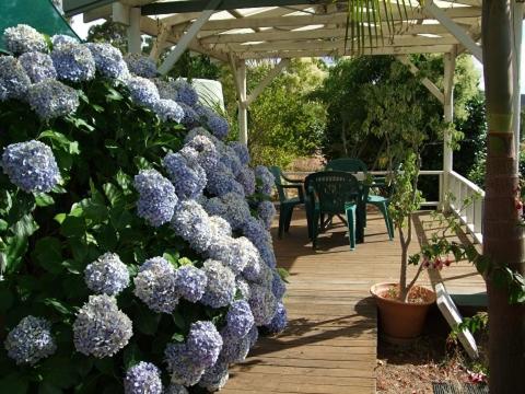 Nannup Riverview Cottage - Accommodation Perth 3