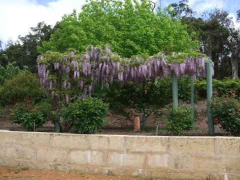 Nannup Riverview Cottage - Accommodation Perth 5