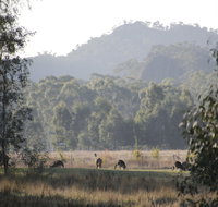 Dacelo - Accommodation Perth