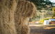 Wattle Grove Homestead Bed & Breakfast - thumb 6