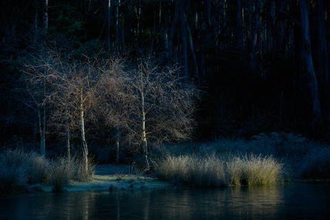 Naivasha Cottage - Perth Resorts 3