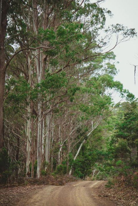 Naivasha Cottage - Perth Resorts 2