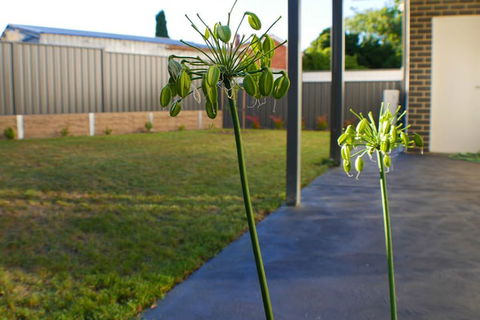 Maison Executive - Accommodation Perth 3