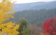Goldberryaccommodation - thumb 6