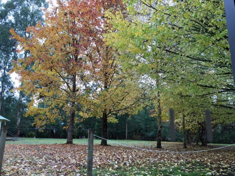 Goldberryaccommodation - Accommodation Perth 1