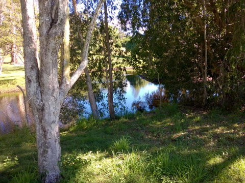 Eumundi Cottages Cottage 1 - Accommodation Perth 4