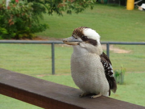 Eumundi Cottages Cottage 1 - Accommodation Perth 3