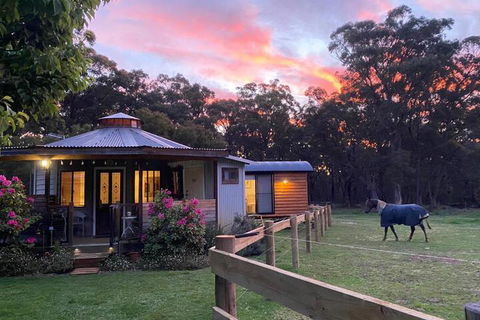 Ionaforest Yurt & Shepherds Hut - Accommodation Perth 3