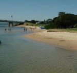 Black Dolphin Waterfront Apartment - Accommodation Perth