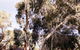 Harts Farm - thumb 5