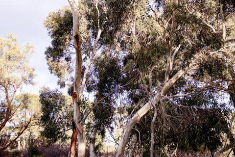 Harts Farm - Accommodation Perth 5